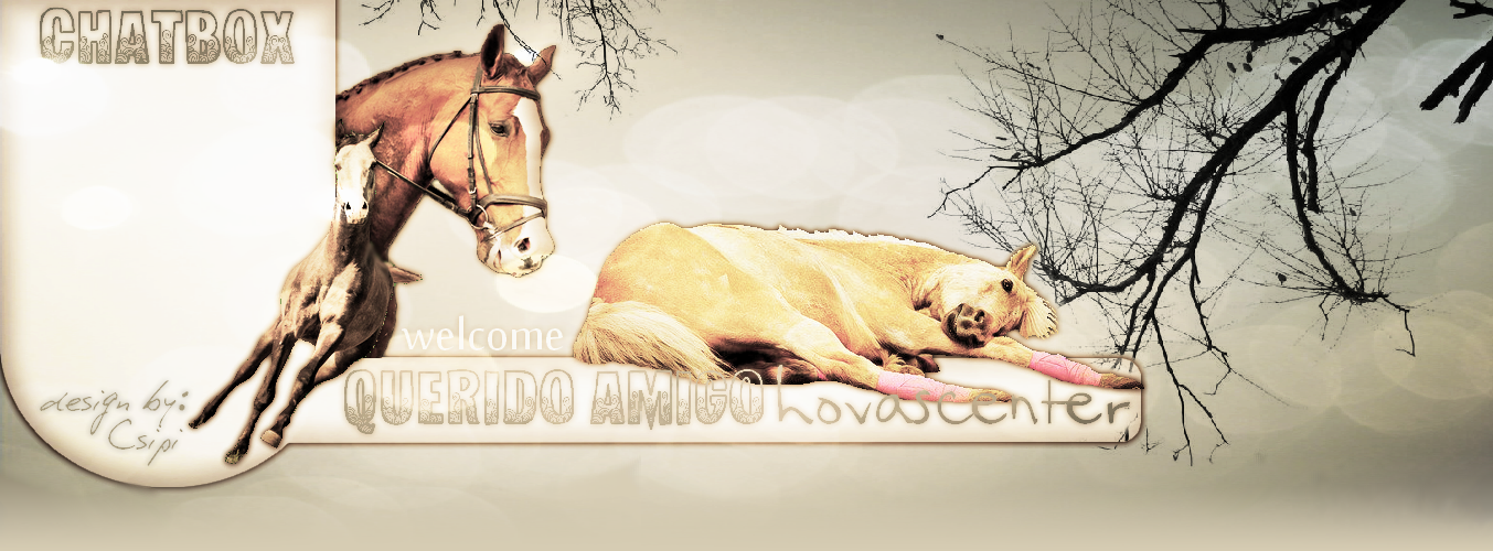 .: Querido Amigo ~ stables & centre :.